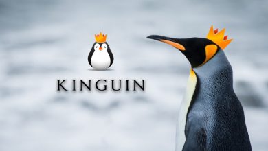 Team Kinguin