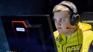 flamie