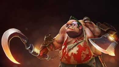 Статистика, Pudge