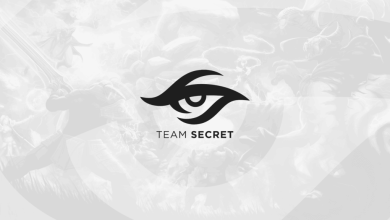 TEAM SECRET
