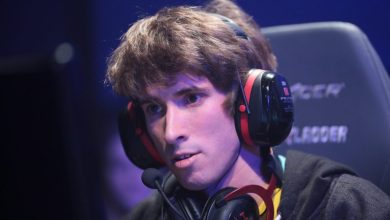 Dendi сыграет за Tigers