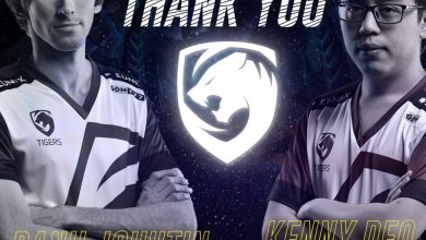 Dendi покинул Tigers