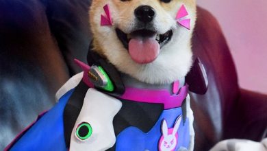 Самый милый косплеер в мире