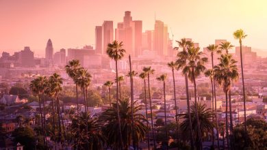 Участники BLAST Pro Series Los Angeles: