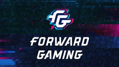 Организация Forward Gaming закрылась