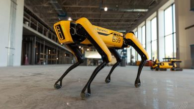 Знаменитого робота Spot из Boston Dynamics можно купить за $74,5 тысячи